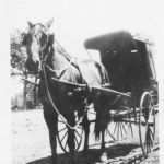 Claude Shivers' horse and buggy. Courtesy of Shivers family
