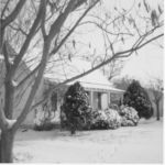 The Tate family home was moved to Grapevine from the Denton Creek bottomlands to make way for Lake Grapevine in the 1940s. Courtesy of Stacy family