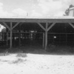 Livestock pens at the Grapevine Auction barn. Courtesy of Jones family