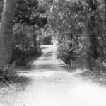 The Gordon's family home sat near Crooked Lane, south of FM1709. Pictured here is the driveway facing north. Courtesy of Ann Gordon Swindell